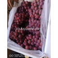 2019 YUNNAN GRAPES START